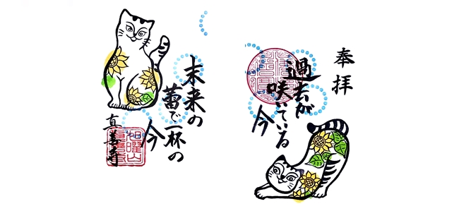 真善寺の限定御朱印