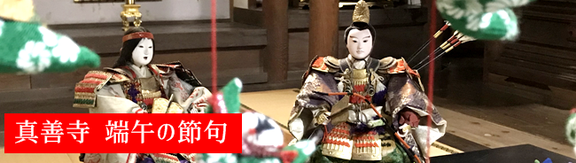 真善寺 端午の節句 本堂に五月人形